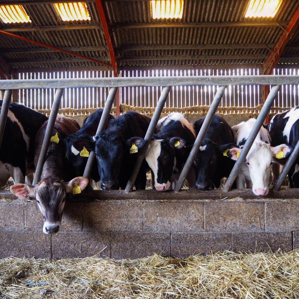 Ten things I’ve learnt since farming…