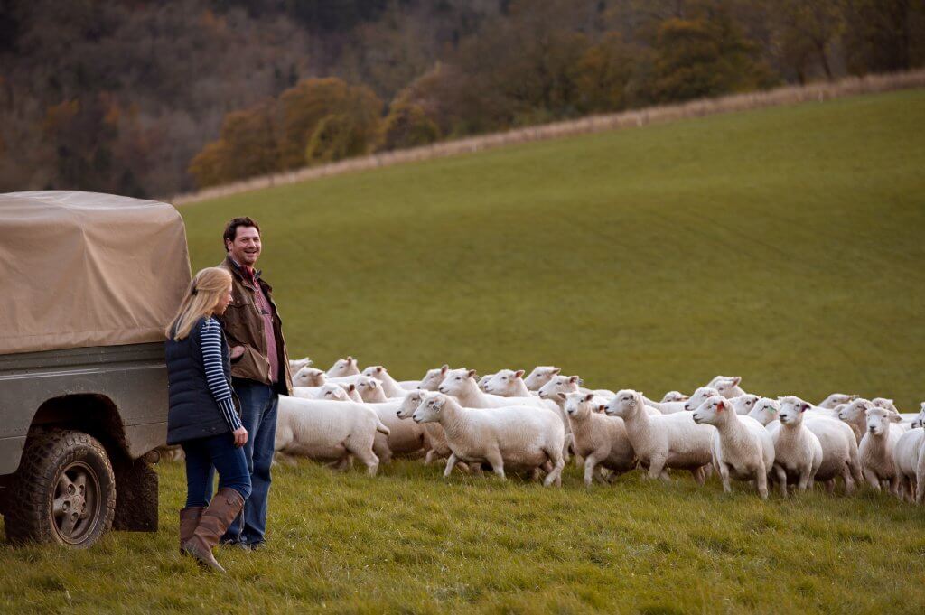 Common misconceptions about what it means to be a farmer…