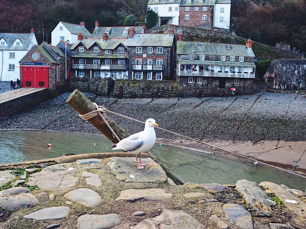 Weekend getaway in North Devon
