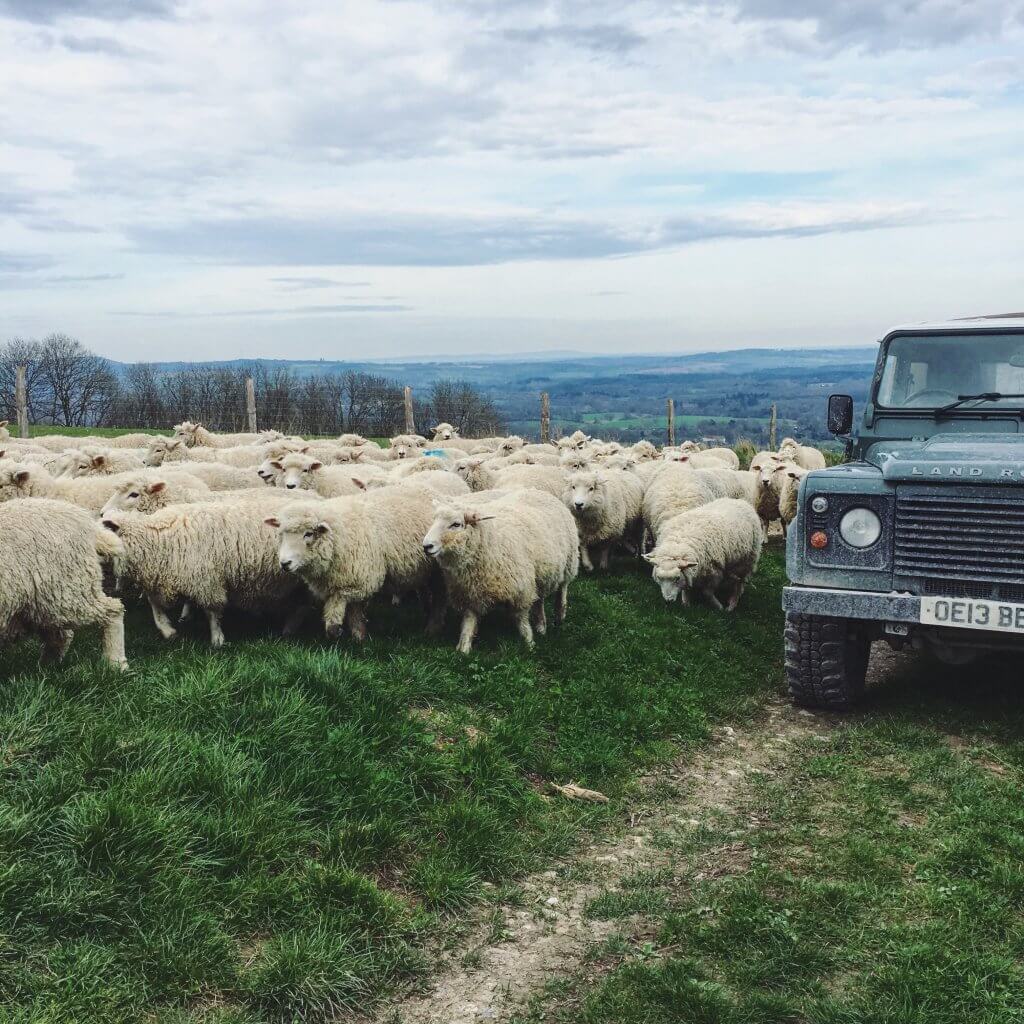March on the farm…
