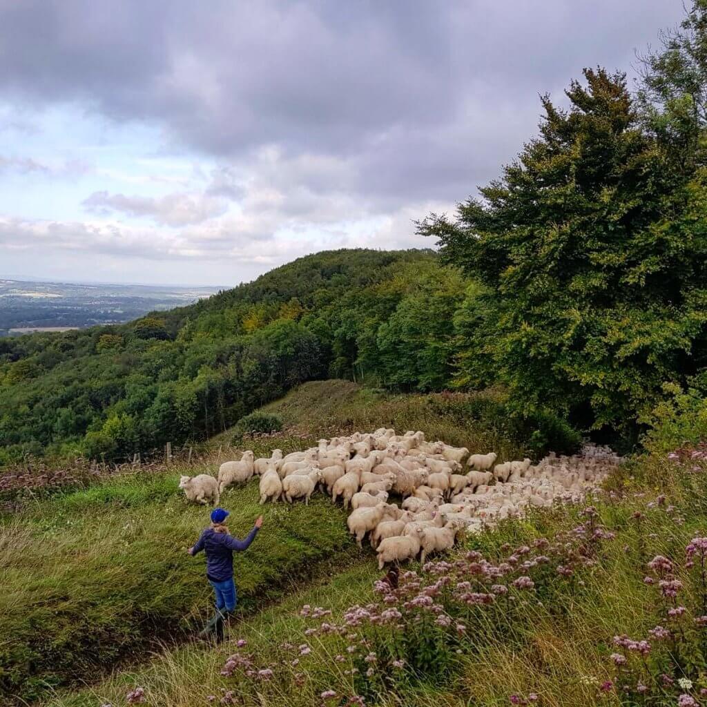 What we’ve been up to on the farm lately…