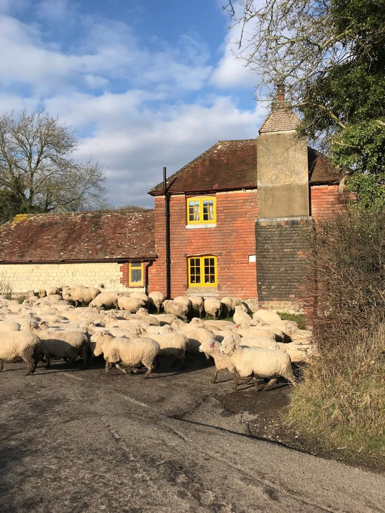 February 2018 on the farm…