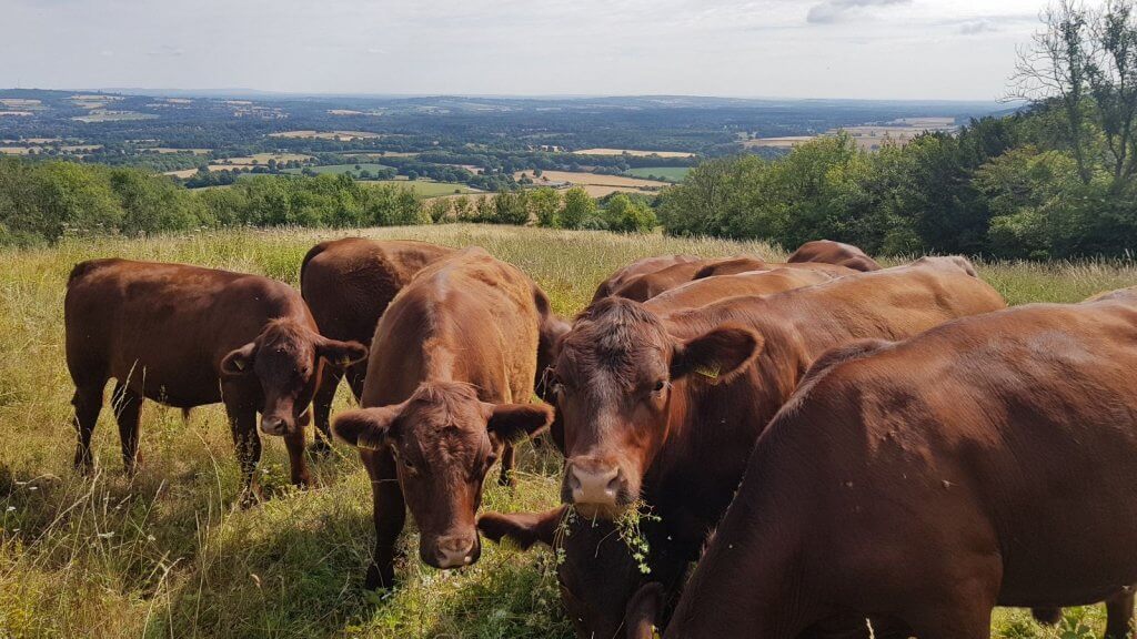 Are you even a farmer until…