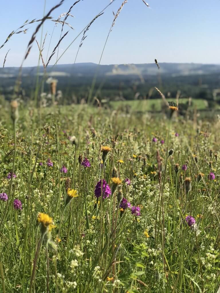 What we’ve been up to on the farm lately…